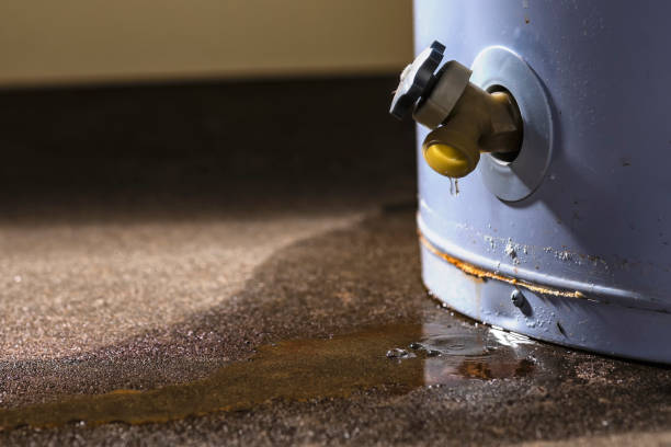 Best Water damage restoration near me  in Madeira, OH