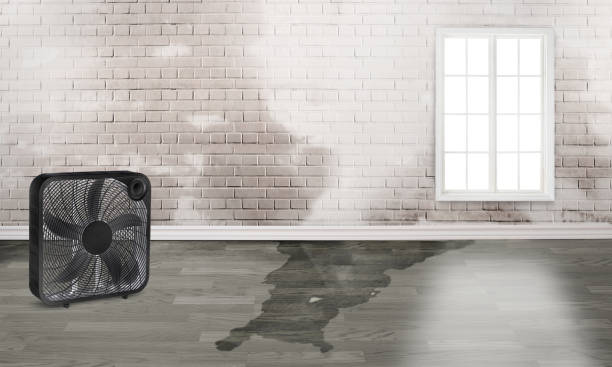 Best 24/7 water damage repair  in Madeira, OH