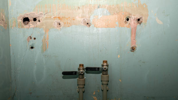 Best Mold removal after water damage  in Madeira, OH