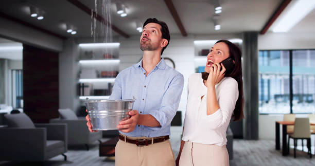 Best Water damage contractors near me  in Madeira, OH